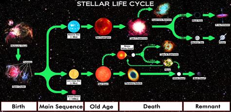 Red Supergiant Star Life Cycle