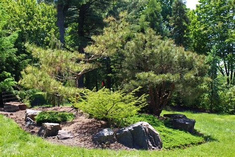 Colibraro Conifer Garden | Temple University The Ambler Arboretum