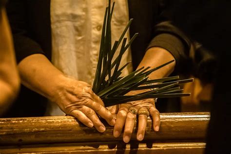 Homily For Palm Sunday Unique And Interesting Facts About Plants