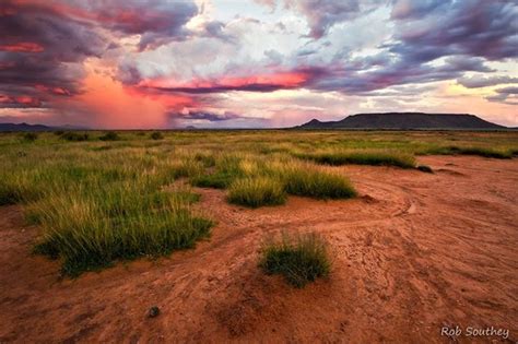 Tafelkop Storm The Karoo Bursts Into Colour After Summer