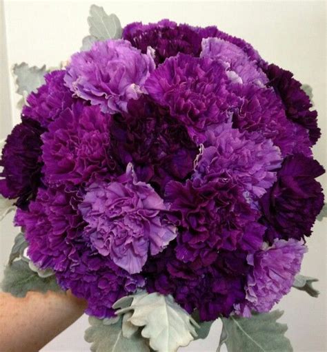 Wedding Bouquet Featuring Purple And Grape Carnations Along With Dusty