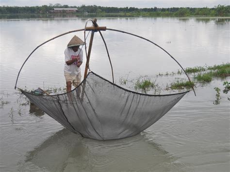 mimpi menangkap kepiting di sungai