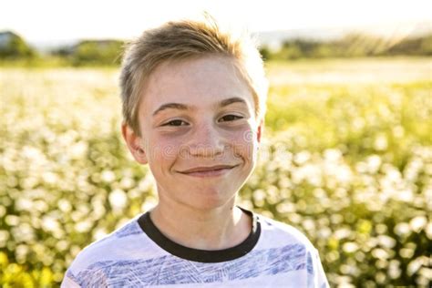 Boy On Meadow Of Daisies Flowers At The Sunset Stock Image Image Of