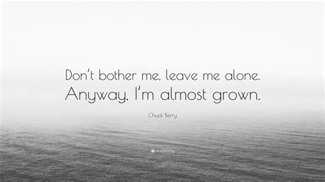 Chuck Berry Quote “dont Bother Me Leave Me Alone Anyway Im Almost