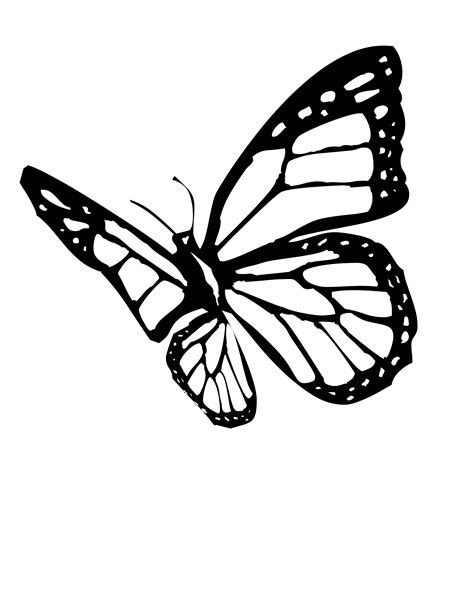 Monarch Butterfly Outline Free Download On Clipartmag