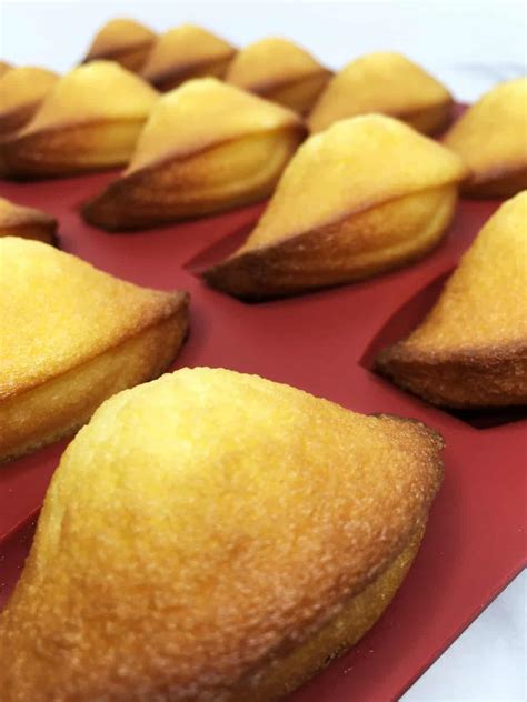 French Madeleines Recipe Baking Like A Chef