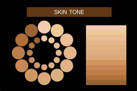 130 Skin Tone Chart Stock Illustrations Royalty Free Vector Graphics