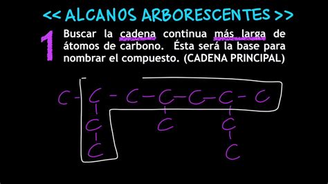 ALCANOS ARBORESCENTES YouTube