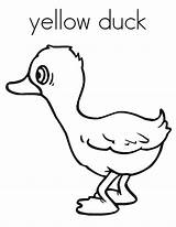 Coloring Duck Yellow Drawing Ducks Jacket Printable Pond Netart Getdrawings Getcolorings 21kb 776px sketch template