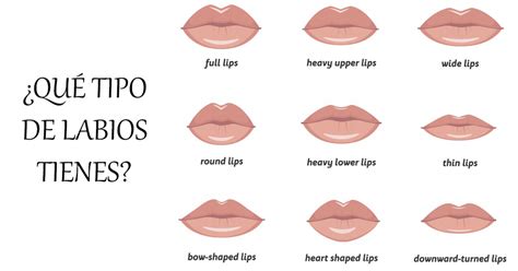 Tus labios dicen mucho sobre tu personalidad Qué tipo de labios tienes