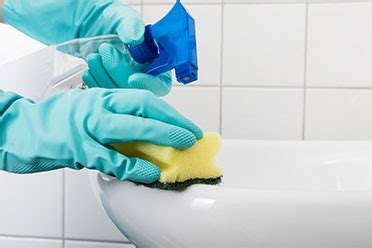 Full service residential and commercial contractor, general house cleanig, office description: House Cleaning Services Mount Prospect, IL | House ...
