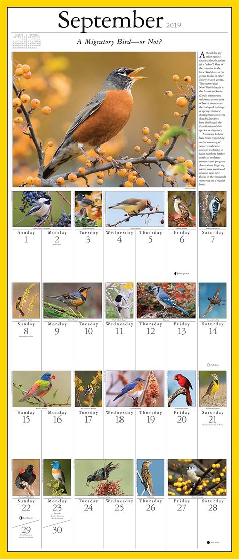 Free hq photos about songbird. Audubon Songbirds and Other Backyard Birds Picture-A-Day ...