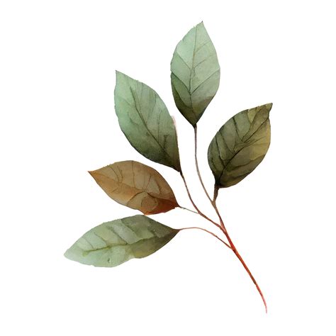 Free Watercolor Green Leaves 22505308 Png With Transparent Background