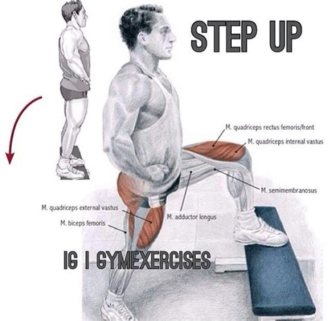 Step Up Gym Exercise Intense Workout Calf Muscles Gym Workouts