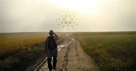 At the time of writing, ethereum stands at #2 while cardano's price is #7. The surprising reason why Ethereum could determine Cardano ...