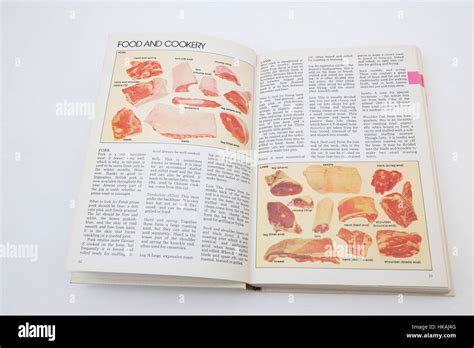 Vintage Book The Dairy Book Of Home Management Opened On Food And