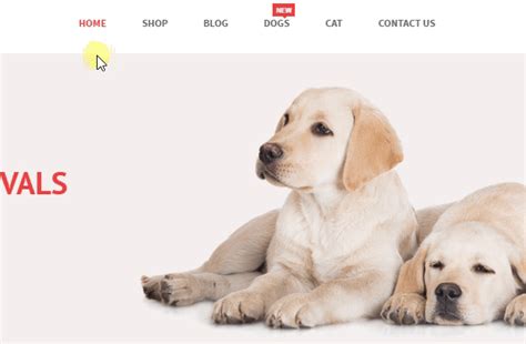 Vg Petshop Creative Woocommerce Theme For Pets And Vets Webytechy