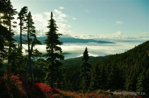 Above The Clouds ~ Alpine Landscape Photo From Mount Washington