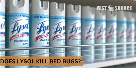 Does Lysol Kill Bed Bugs Pest Source