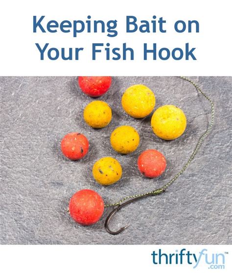 Keeping Bait On Your Fish Hook Thriftyfun