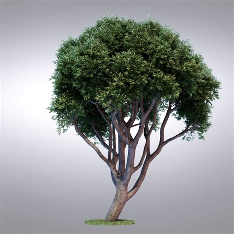3d Max Hi Realistic Series Tree