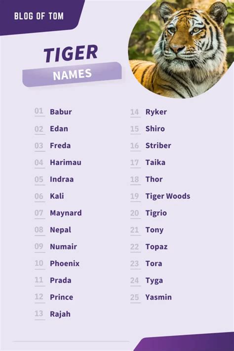 Tiger Names Best Male Female Ideas In