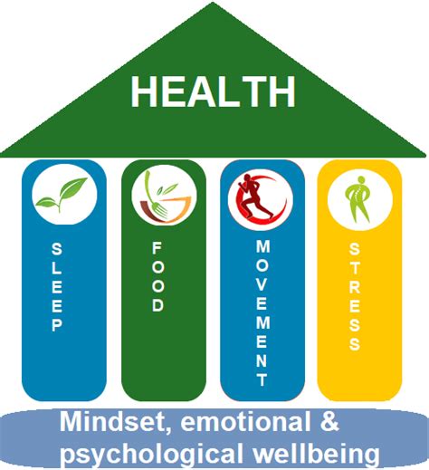 The Foundation Of Health Self Care Emotional And Psychological Well