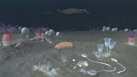 The First Animal On Earth Discovered The Earth Images Revimageorg