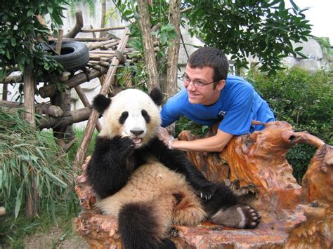 Dujiangyan Panda Base China Panda Conservation And Research