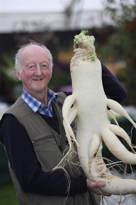 See more ideas about food, recipes, ethnic recipes. These images of one man with his giant vegetables are the ...