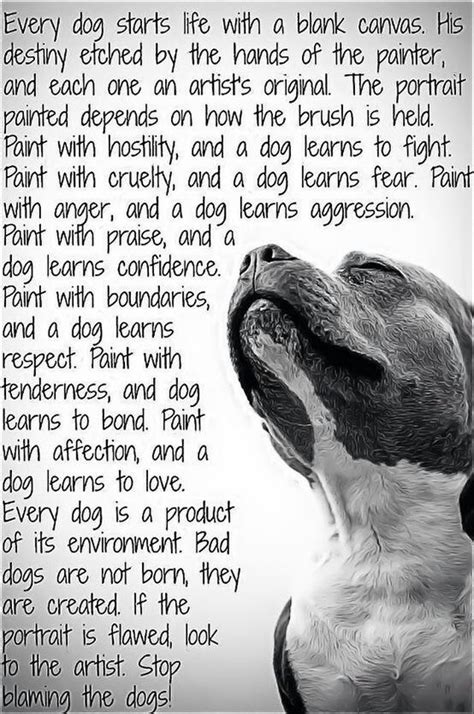 Pit Bull Quotes About Love Quotesgram