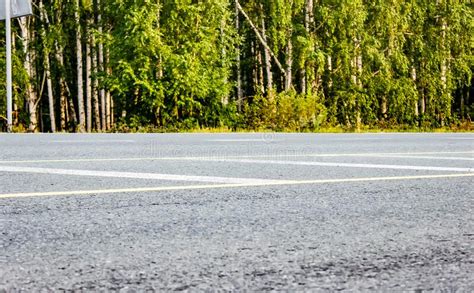 Paved Highway Near The Forest In The Afternoon With Yellow Markings