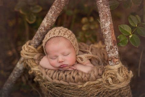 Woodsy Wonders Woodland Nesting Pod Rustic Newborn Photography Prop
