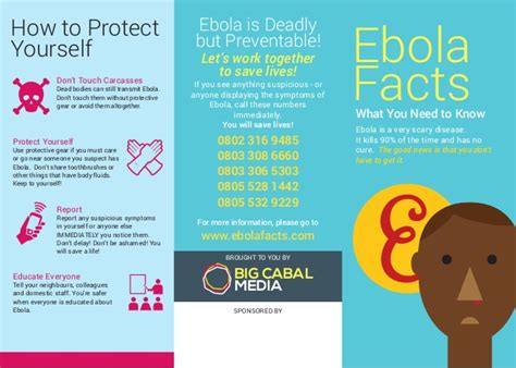 Ebola Facts All You Need To Know To Protect Yourself And Loved Ones