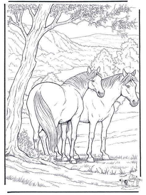 Free Coloring Pages Horse Horses