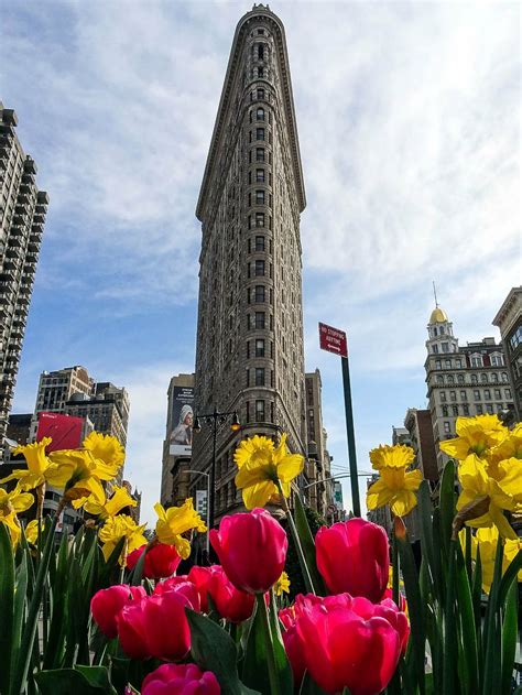 Flatiron Tulip City Flower Architecture New York Manhattan Usa