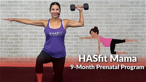 Hasfit Mama 9 Month Prenatal Exercise Program Home Pregnancy Workout