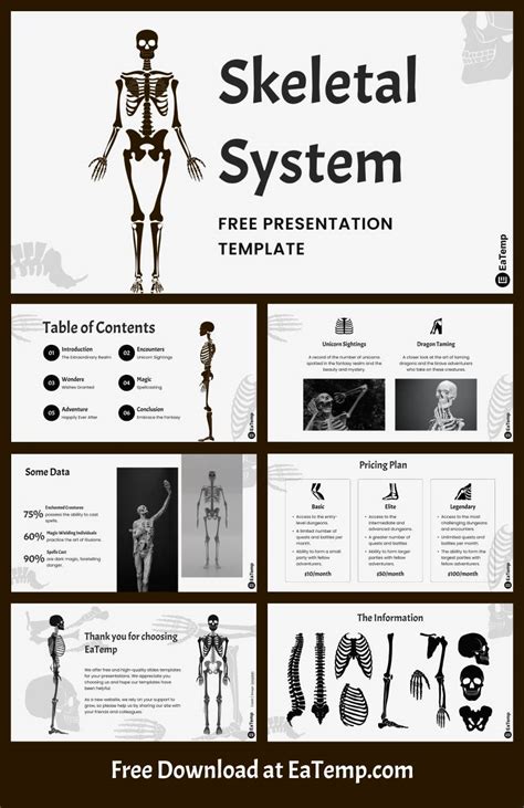 Skeletal System Ppt Presentation Template Eatemp