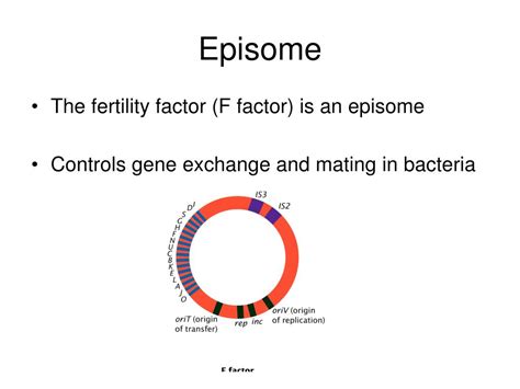 Ppt Bacterial And Viral Genetic Systems Powerpoint Presentation Free