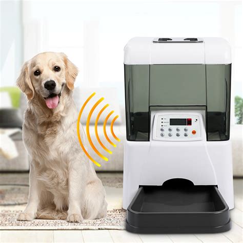 Revolutionize Your Dogs Mealtime With These Top 10 Timed Dispensers A