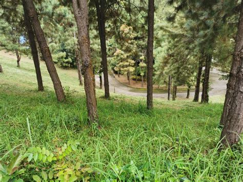 LOT Sqm CROSSWINDS PEAK VIEW Brittany Subdivision Tagaytay Property For Sale Lot On
