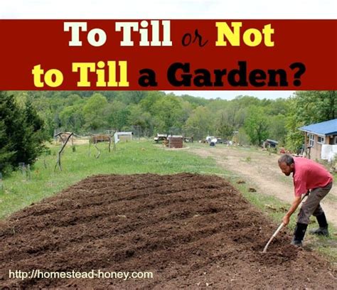 To Till Or Not To Till A Garden