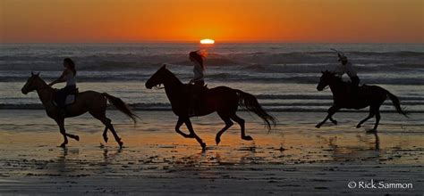 There are no fixed rules in photography, but there are guidelines which can often help you to enhance the impact of your photos. Rule of even and odd Photo is by Rick Sammon | Sunset ...
