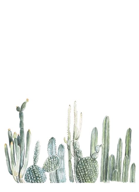 Aesthetic Cactus Wallpapers Top Nh Ng H Nh Nh P