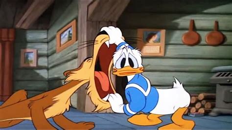 Donald Duck Cartoons Donald Duck And Chip An Dale Cartoon New