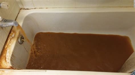 Would You Drink This When Brown Tap Water Is Deemed Legal And Safe