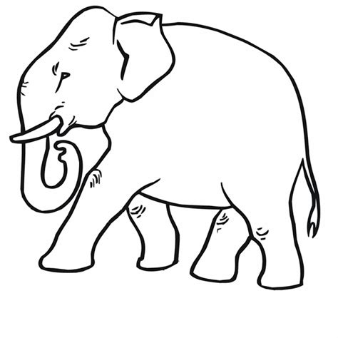 La Chachipedia Dibujos De Elefantes Para Colorear Para Imprimir Y