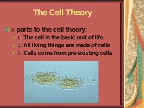 Three Parts Of Cell Theory Slidesharetrick