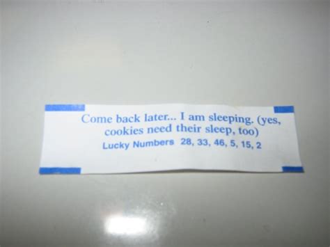 funny fortune cookie messages   fun enjoy life