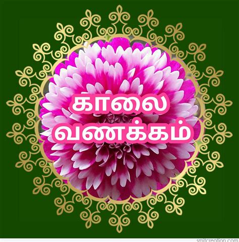 New kalai vanakkam images in tamil naturesimagesart. Always: Kalai Vanakkam Good Morning In Tamil Images Download